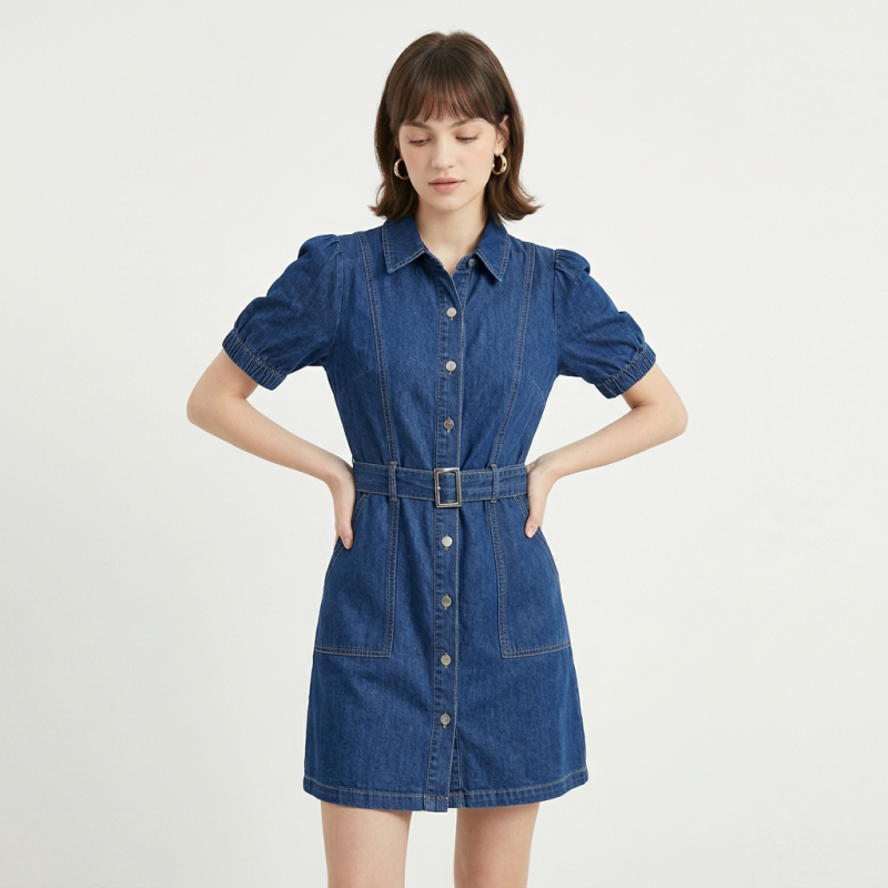 Fitted Denim Dress