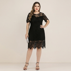 Lace Waist-cinching Dress