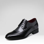 Two-tone Business Leather Shoes