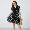 Polka Dot Chiffon Dress