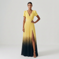 Gradient Full Skirt Dress