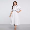 Solid Color Full Skirt Dress