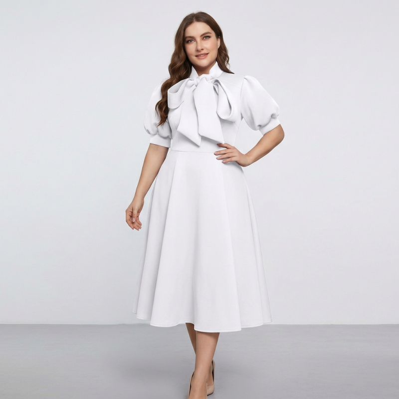 Solid Color Full Skirt Dress