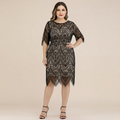 Mid-length Lace Dress