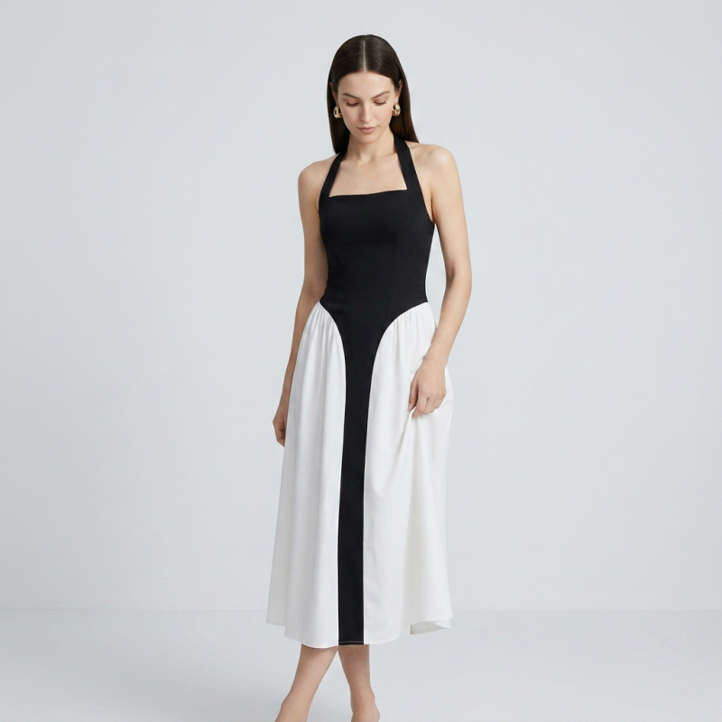 Elegant Color-blocked Dress
