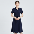 Elegant And Youthful Dress