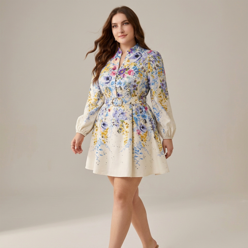Elegant Printed Dress