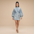 Ripped Denim Dress
