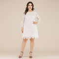 Sexy Lace Dress