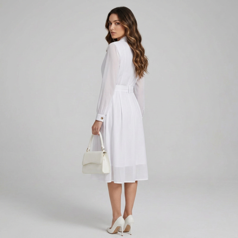 Elegant Collared Dress