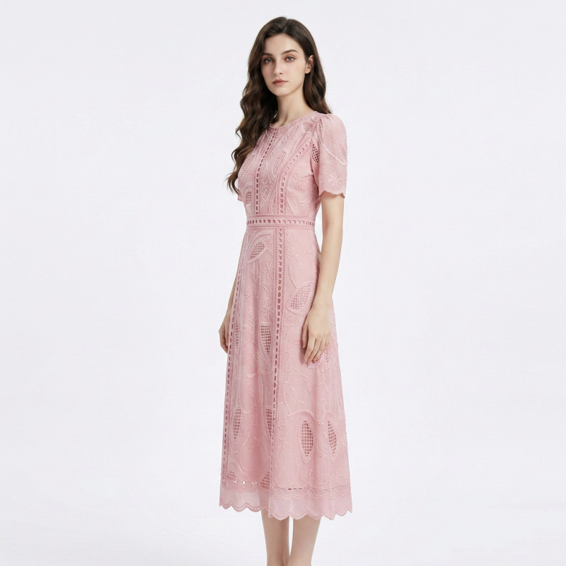 Elegant Embroidered A-line Dress