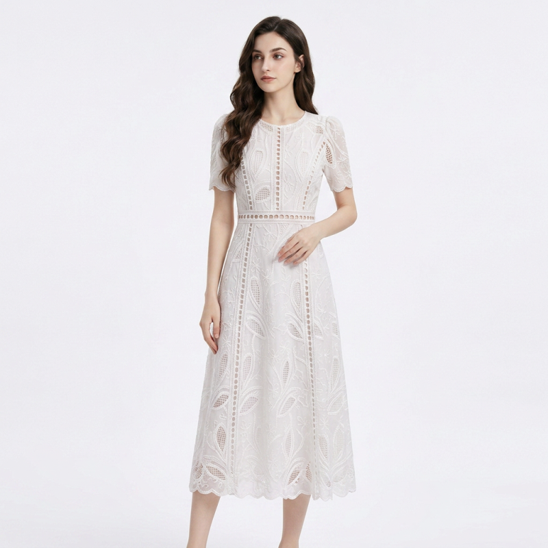 Elegant Embroidered A-line Dress