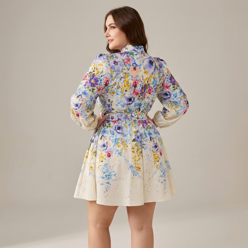 Elegant Printed Dress